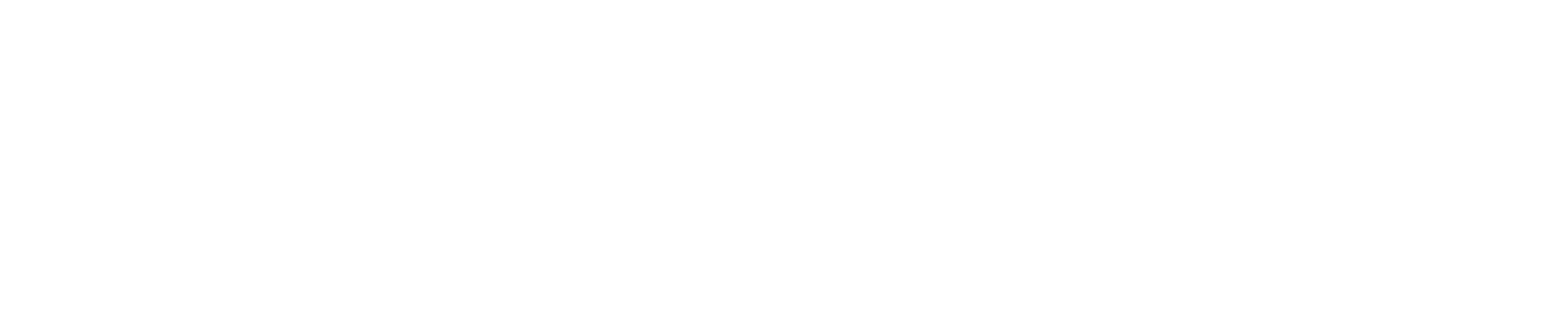 Fairscale Logo